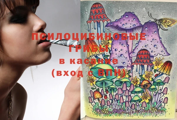 mix Краснослободск