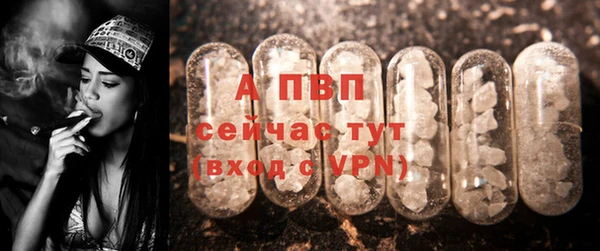 гидра Кукмор